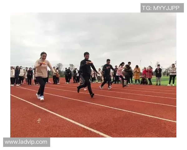 上海乒乓球队力争上游的变革之路与未来发展探讨