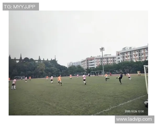 成都足球队的节奏变革引发热议球迷期待新风貌与未来发展